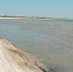 В 2025 году солёность воды в Азовском море достигла рекордных значений. Фото Азово-Черноморского филиала ГНЦ РФ ФГБНУ «ВНИРО» («АзНИИРХ»). - DonNews.Ru