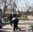 «Дон помнит»: за три недели в порядок привели более 1,5 тысячи мемориалов и воинских захоронений на территории региона - Администрация Ростовской области