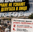 Ростовчане не узнали своего депутата: кто такая Виктория Абрамченко и чем она занимается - Bloknot-Rostov.Ru